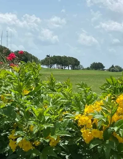 teravista golf club 40
